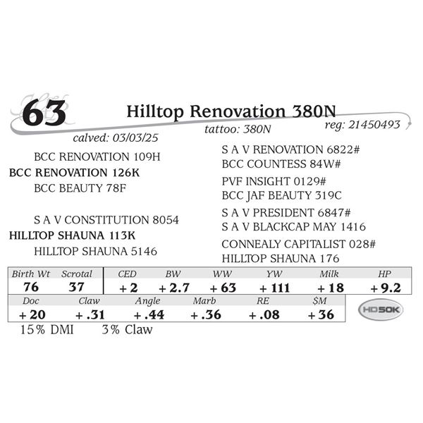 Hilltop Renovation 380N