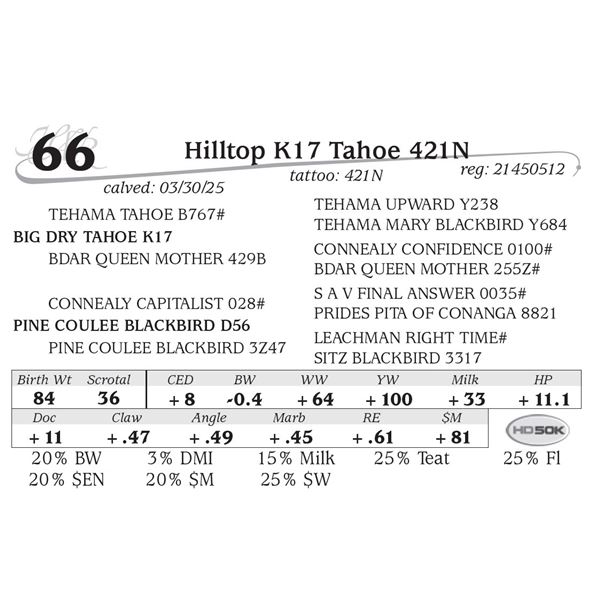 Hilltop K17 Tahoe 421N