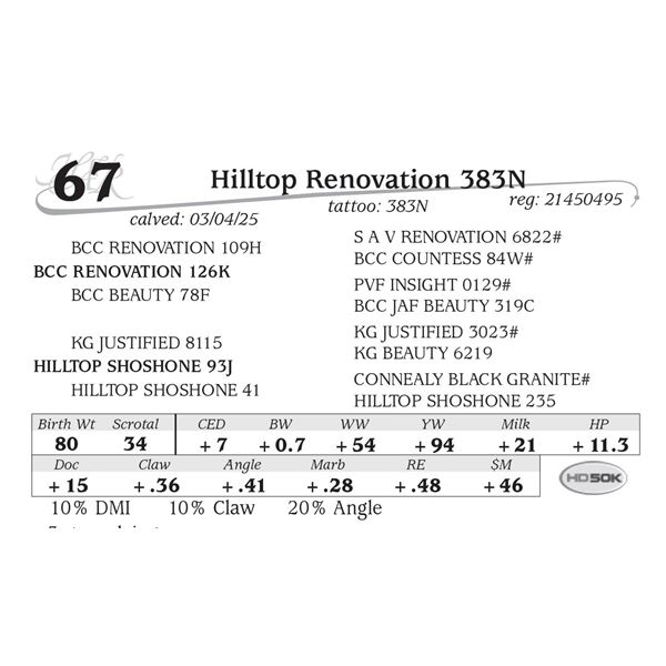Hilltop Renovation 383N