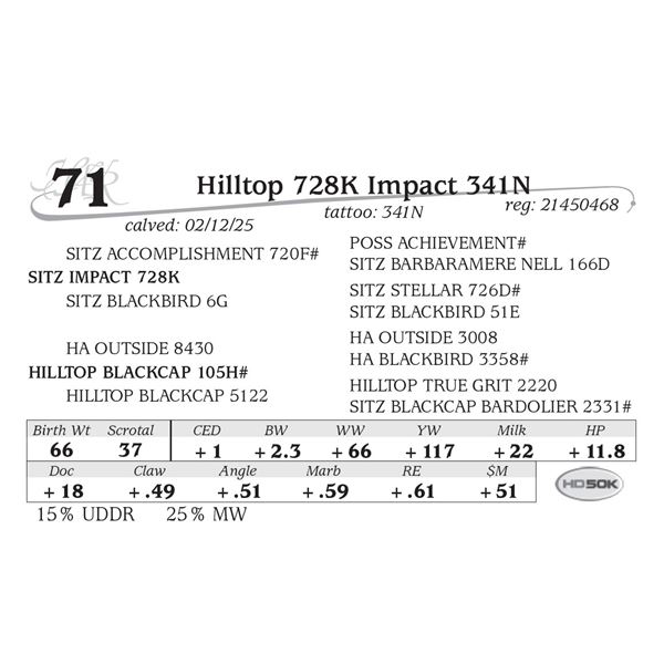 Hilltop 728K Impact 341N