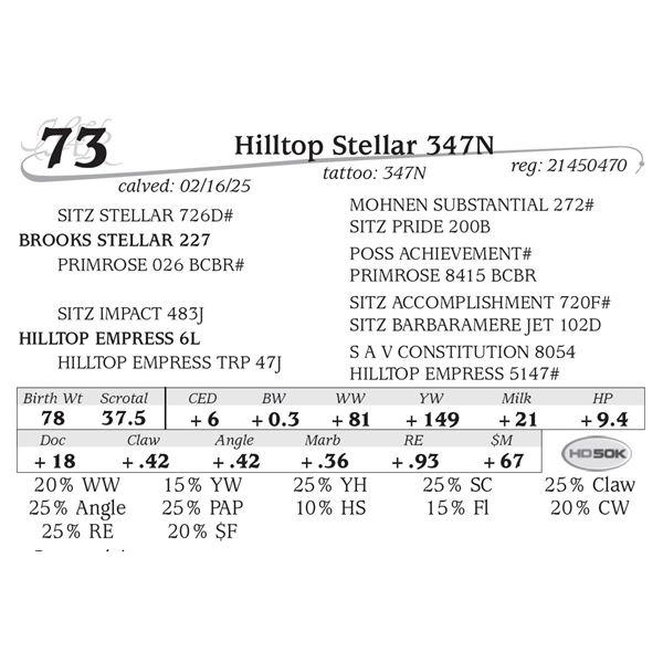 Hilltop Stellar 347N