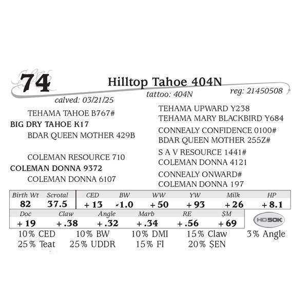 Hilltop Tahoe 404N