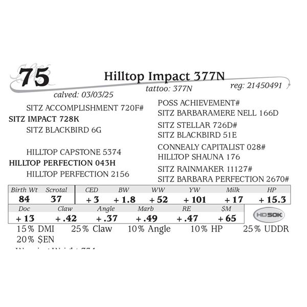Hilltop Impact 377N