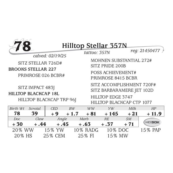 Hilltop Stellar 357N