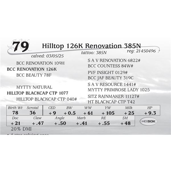 Hilltop 126K Renovation 385N