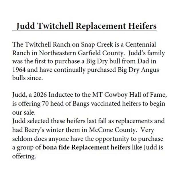 70HD - Judd Twitchell Replacement Heifers