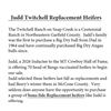 Image 1 : 70HD - Judd Twitchell Replacement Heifers