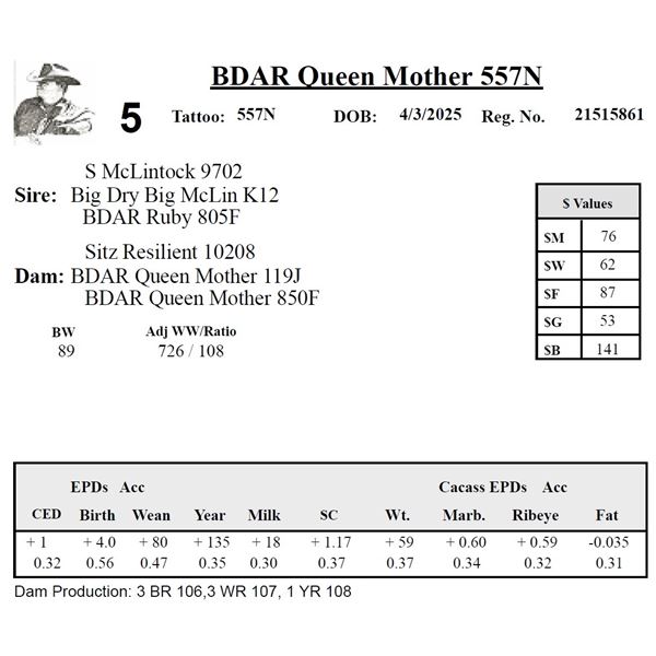 BDAR Queen Mother 557N