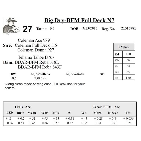 Big Dry-BFM Full Deck N7