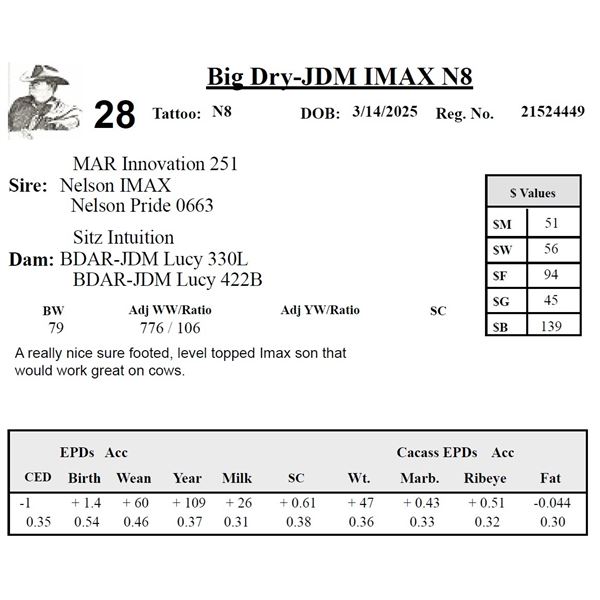 Big Dry-JDM IMAX N8