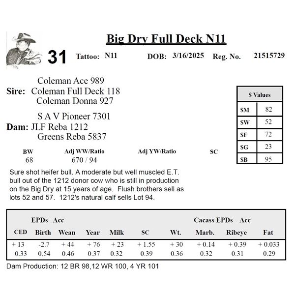 Big Dry Full Deck N11