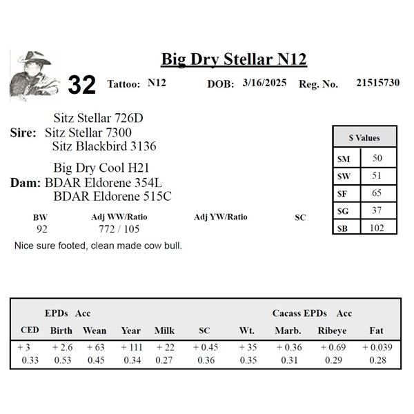 Big Dry Stellar N12