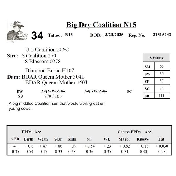 Big Dry Coalition N15