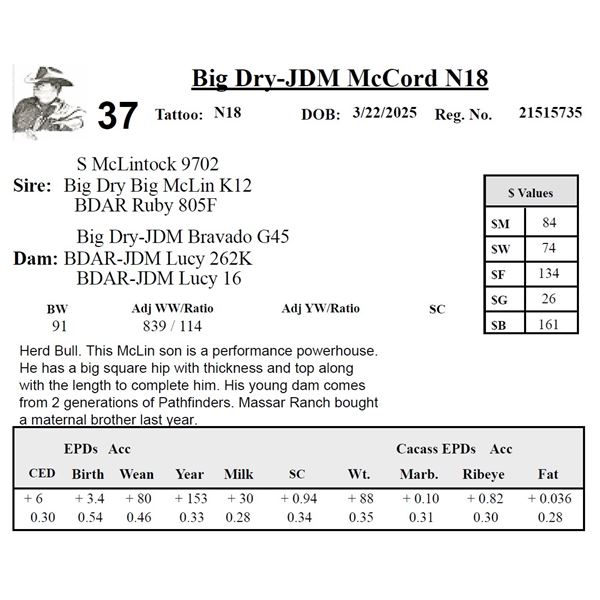 Big Dry-JDM McCord N18