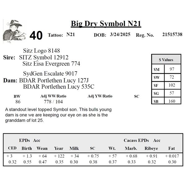 Big Dry Symbol N21