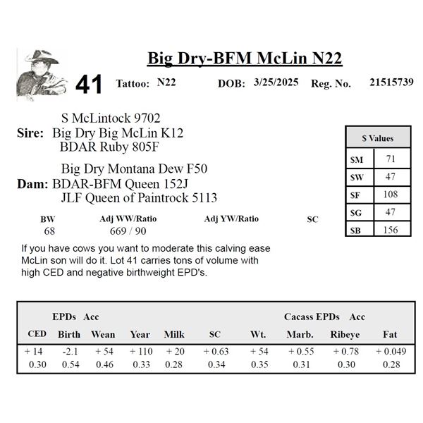 Big Dry-BFM McLin N22