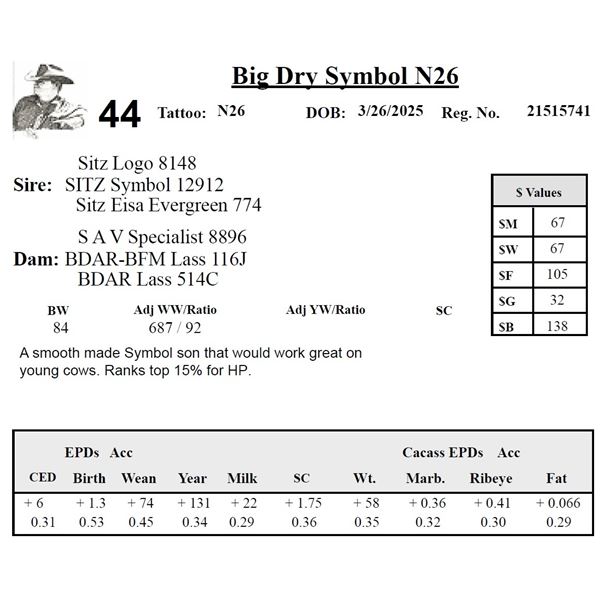 Big Dry Symbol N26
