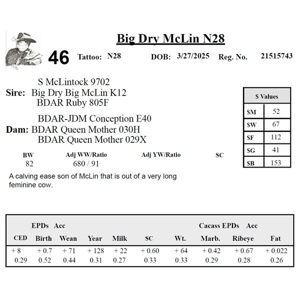Big Dry McLin N28