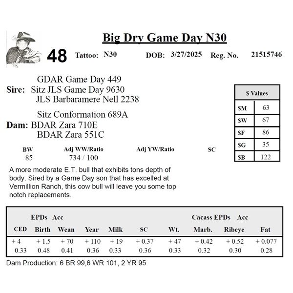 Big Dry Game Day N30