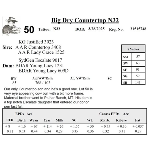 Big Dry Countertop N32