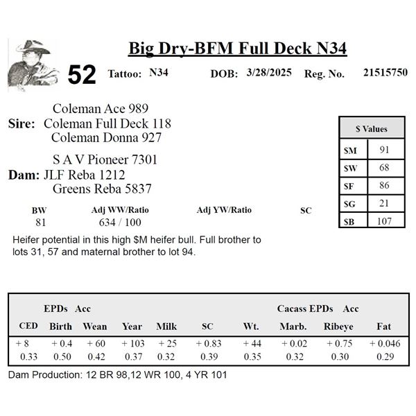 Big Dry-BFM Full Deck N34
