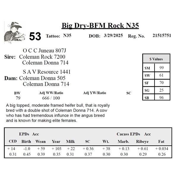 Big Dry-BFM Rock N35