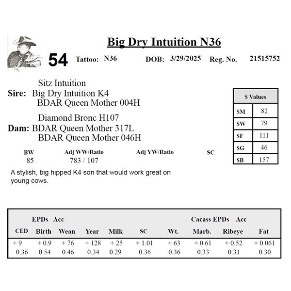 Big Dry Intuition N36