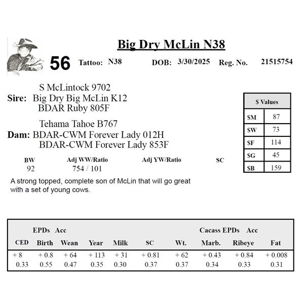 Big Dry McLin N38