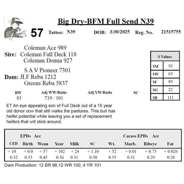 Big Dry-BFM Full Send N39