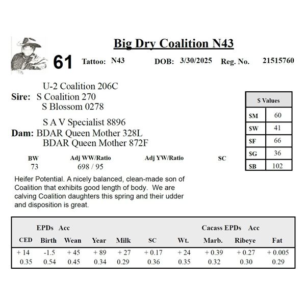 Big Dry Coalition N43