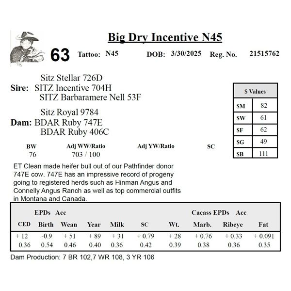 Big Dry Incentive N45