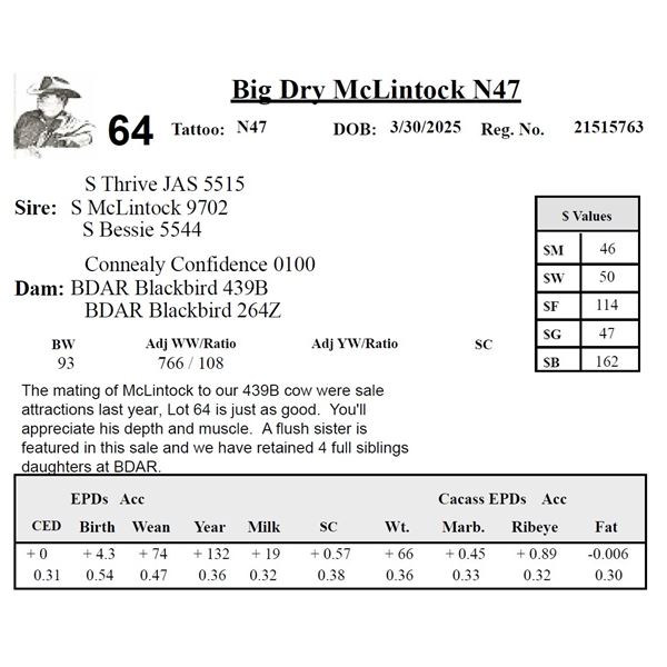 S McLintock 9702