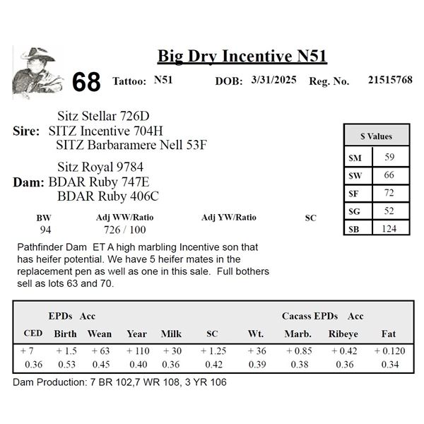 SITZ Incentive 704H