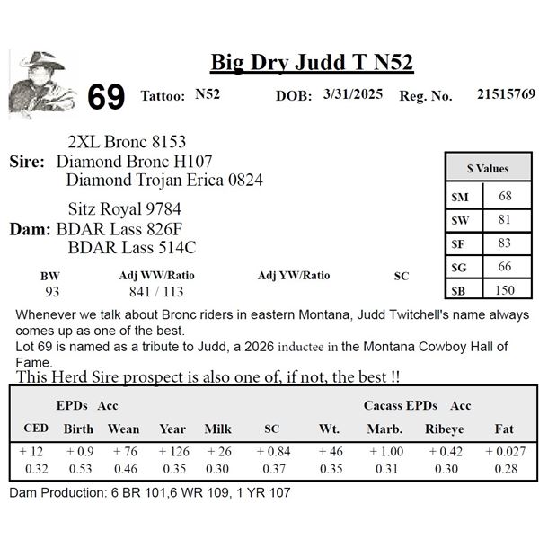 Big Dry Judd T N52