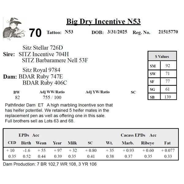 Big Dry Incentive N53