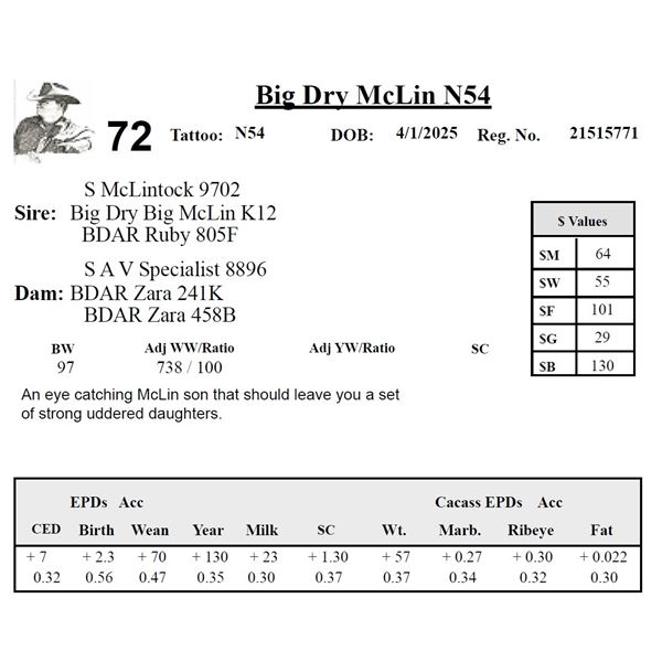 Big Dry McLin N54