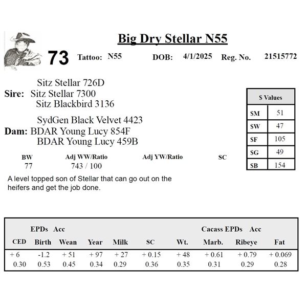 Big Dry Stellar N55