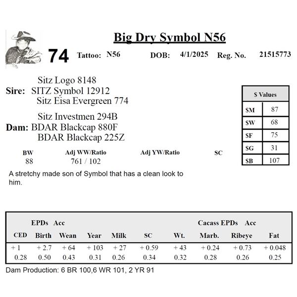 Big Dry Symbol N56
