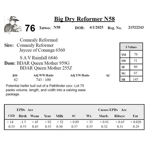 Big Dry Reformer N58
