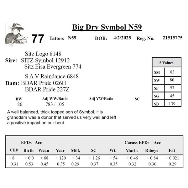 Big Dry Symbol N59