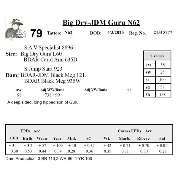Big Dry-JDM Guru N62