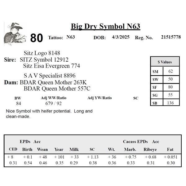Big Dry Symbol N63