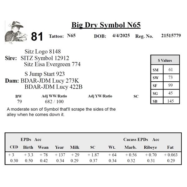 Big Dry Symbol N65