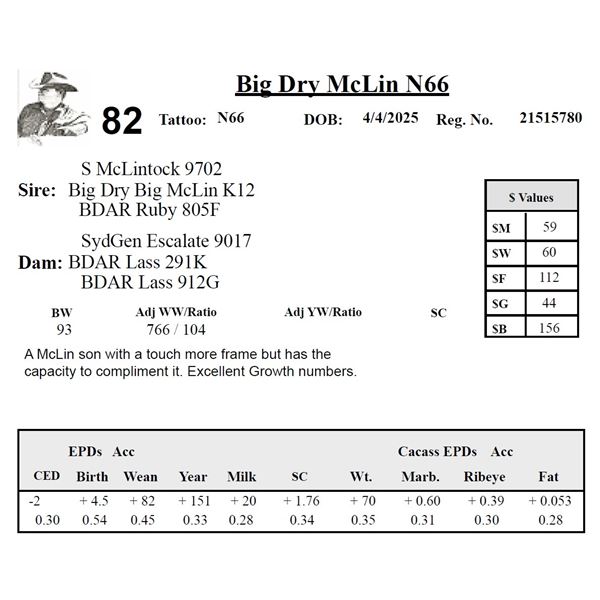 Big Dry McLin N66