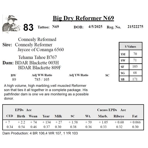 Big Dry Reformer N69