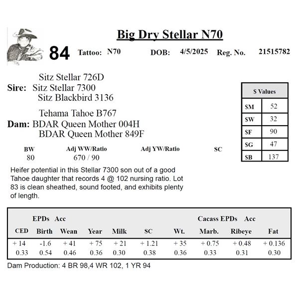 Big Dry Stellar N70