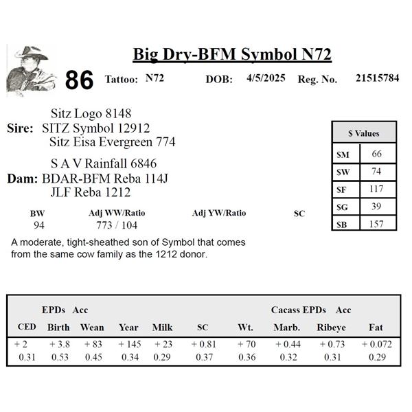 Big Dry-BFM Symbol N72