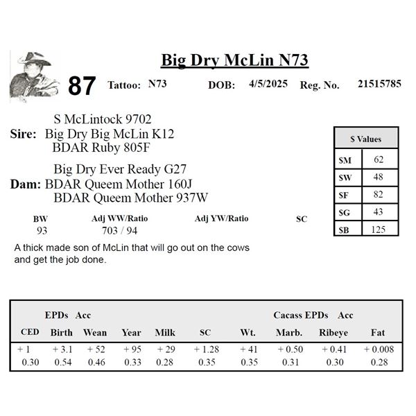 Big Dry McLin N73