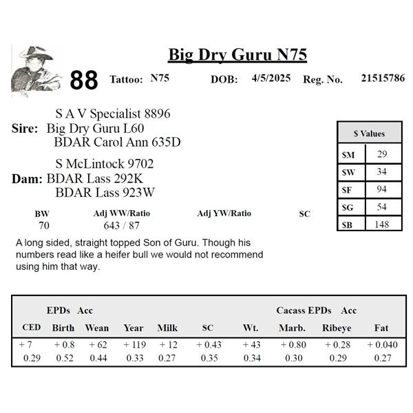 Big Dry Guru N75