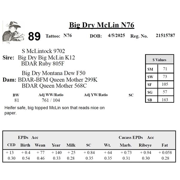 Big Dry McLin N76